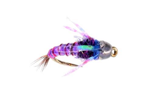 River Ninja - Purple